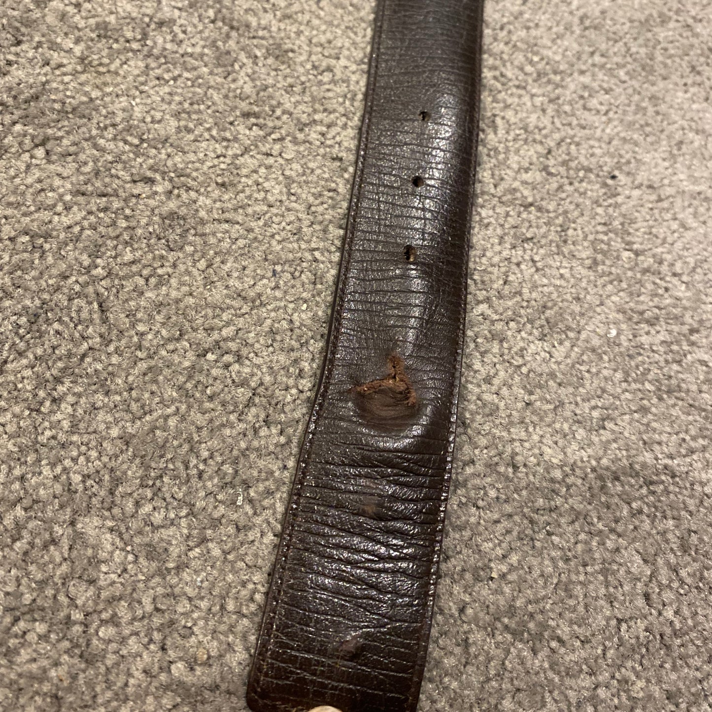 GUCCI BELT (S)