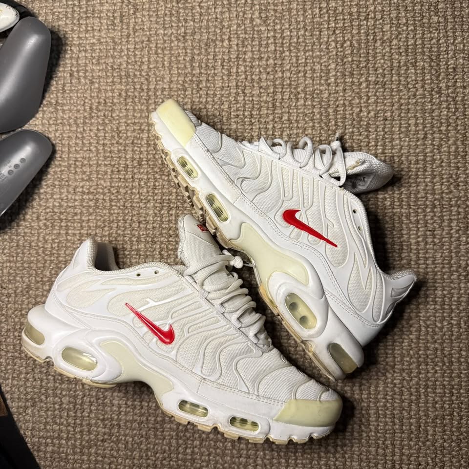 NIKE SUPREME TNS (10)