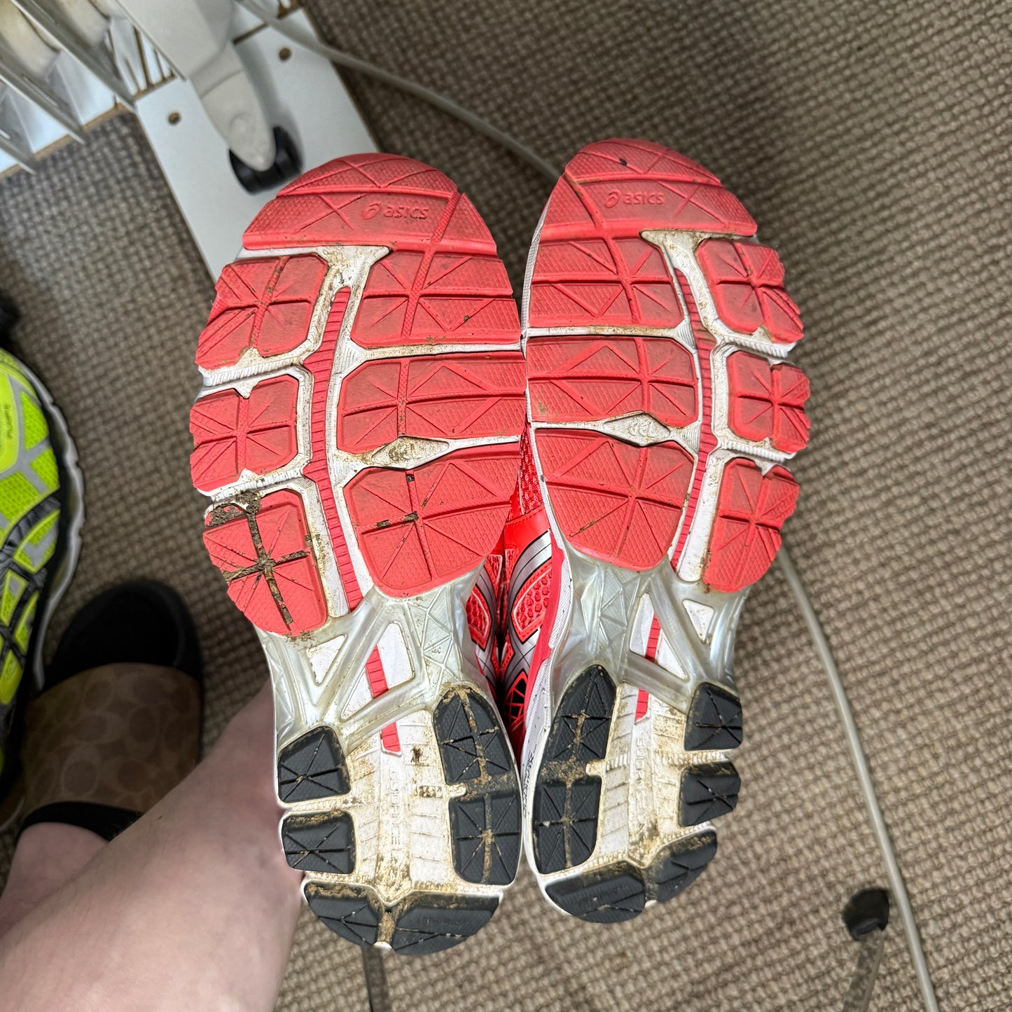 ASICS GT-2000 (9.5)