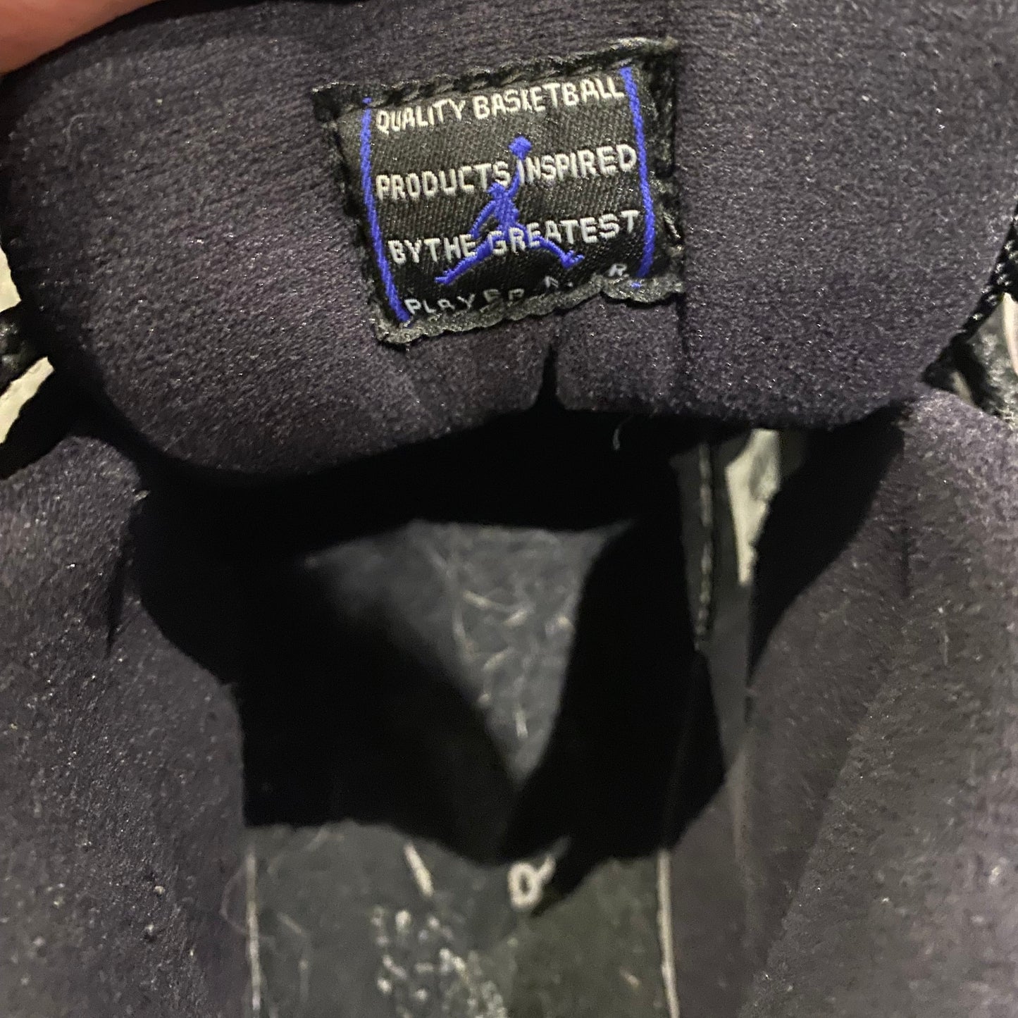 JORDAN 11 'SPACE JAM' (10.5)