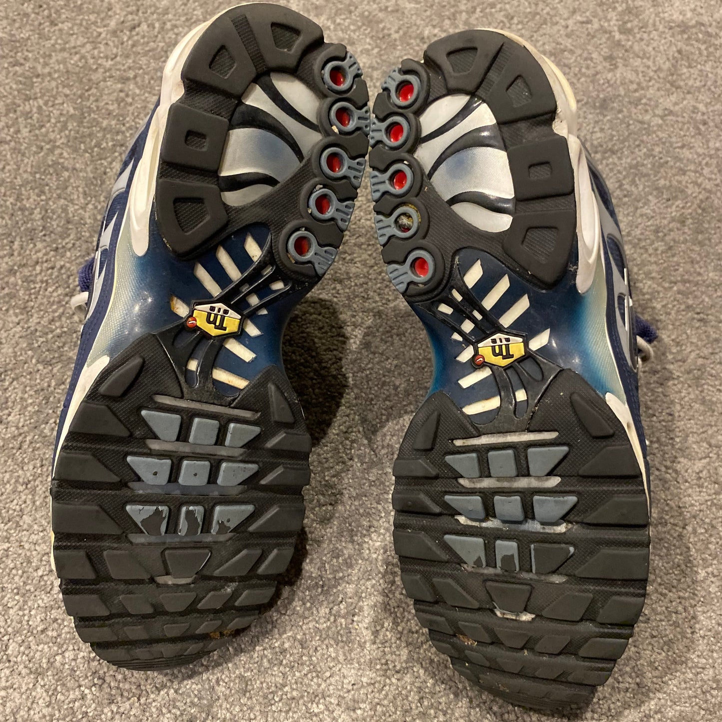 NIKE TN (DARK PALMS) (10)