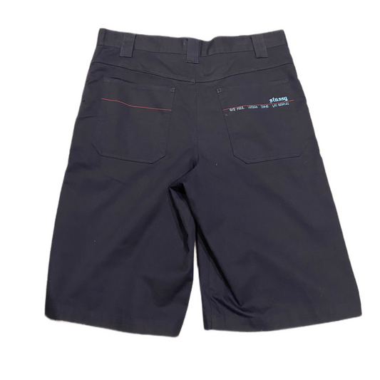 STUSSY SHORTS (32)