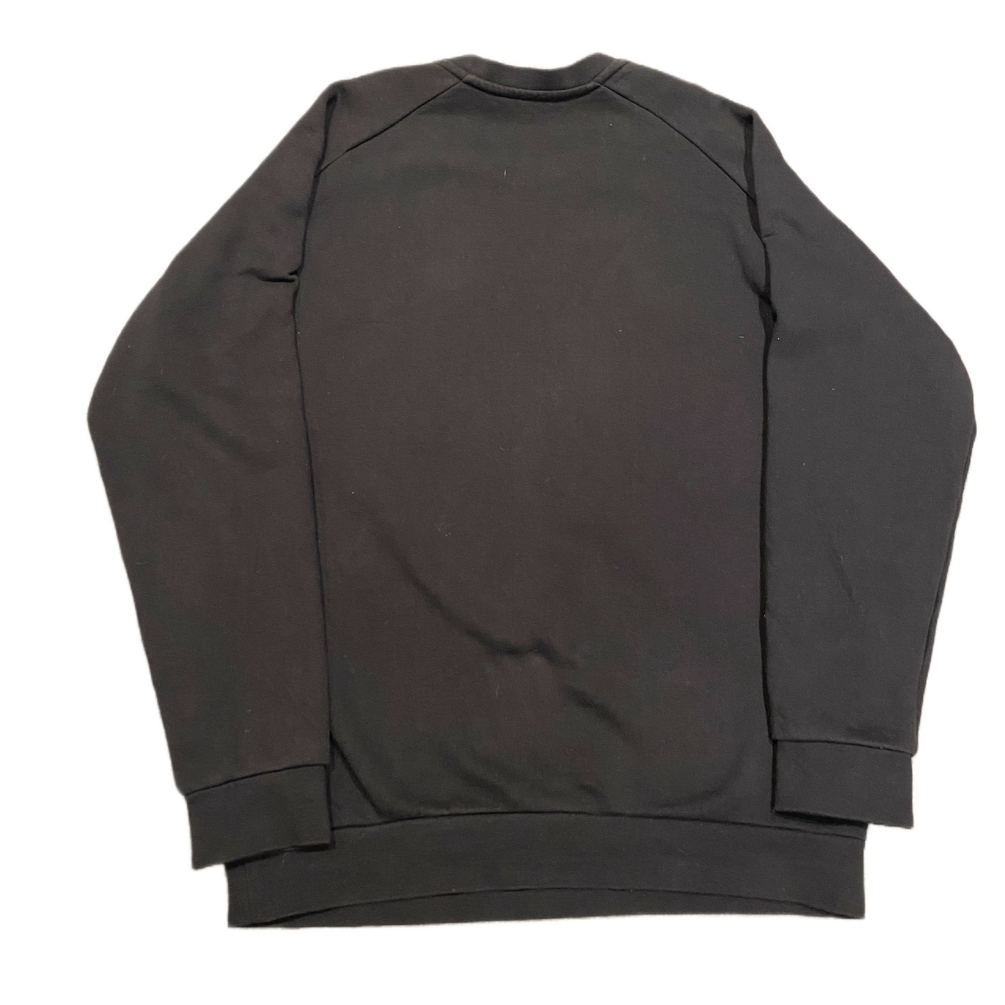 ARCTYREX CREWNECK (M)