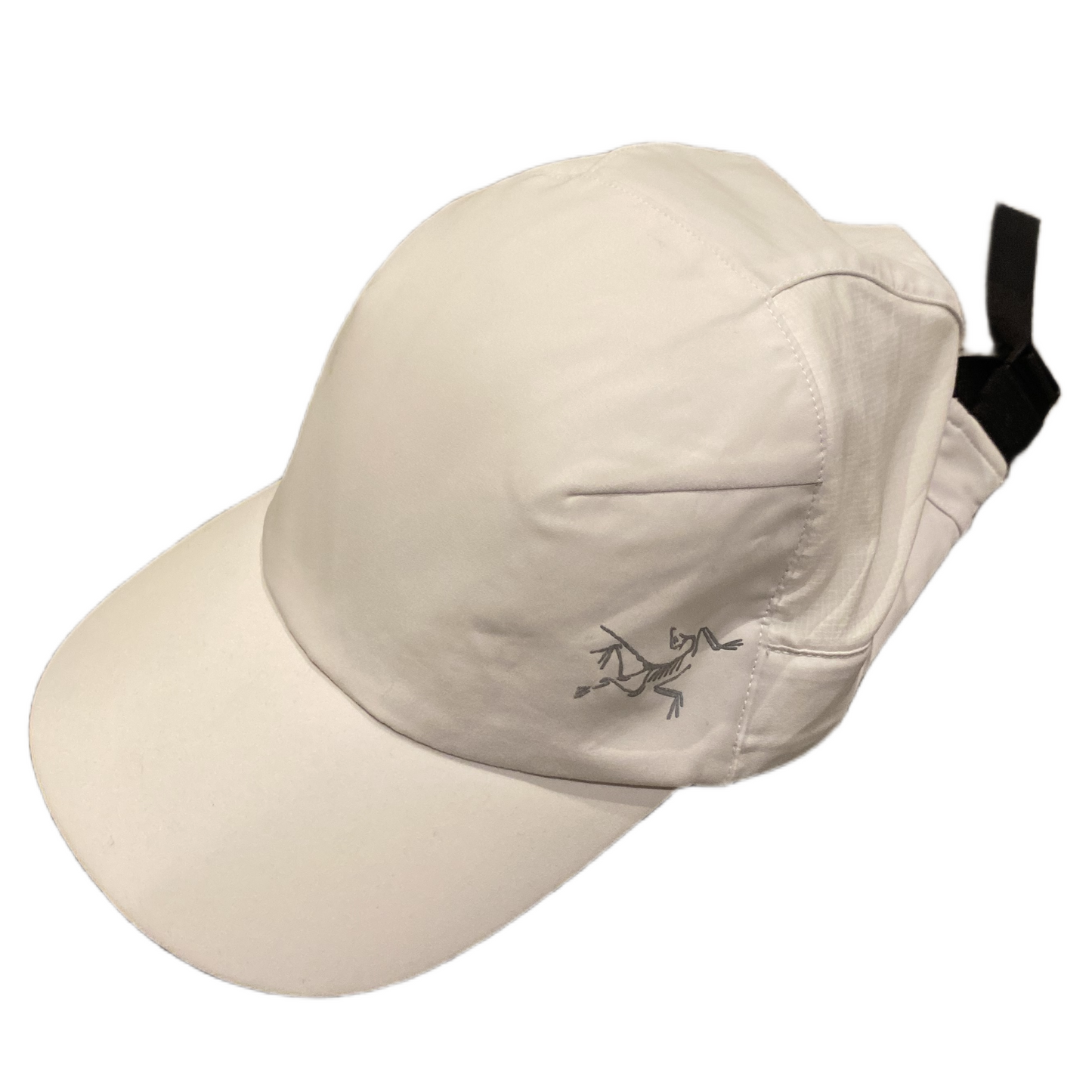 ARCTYREX CAP (OS)