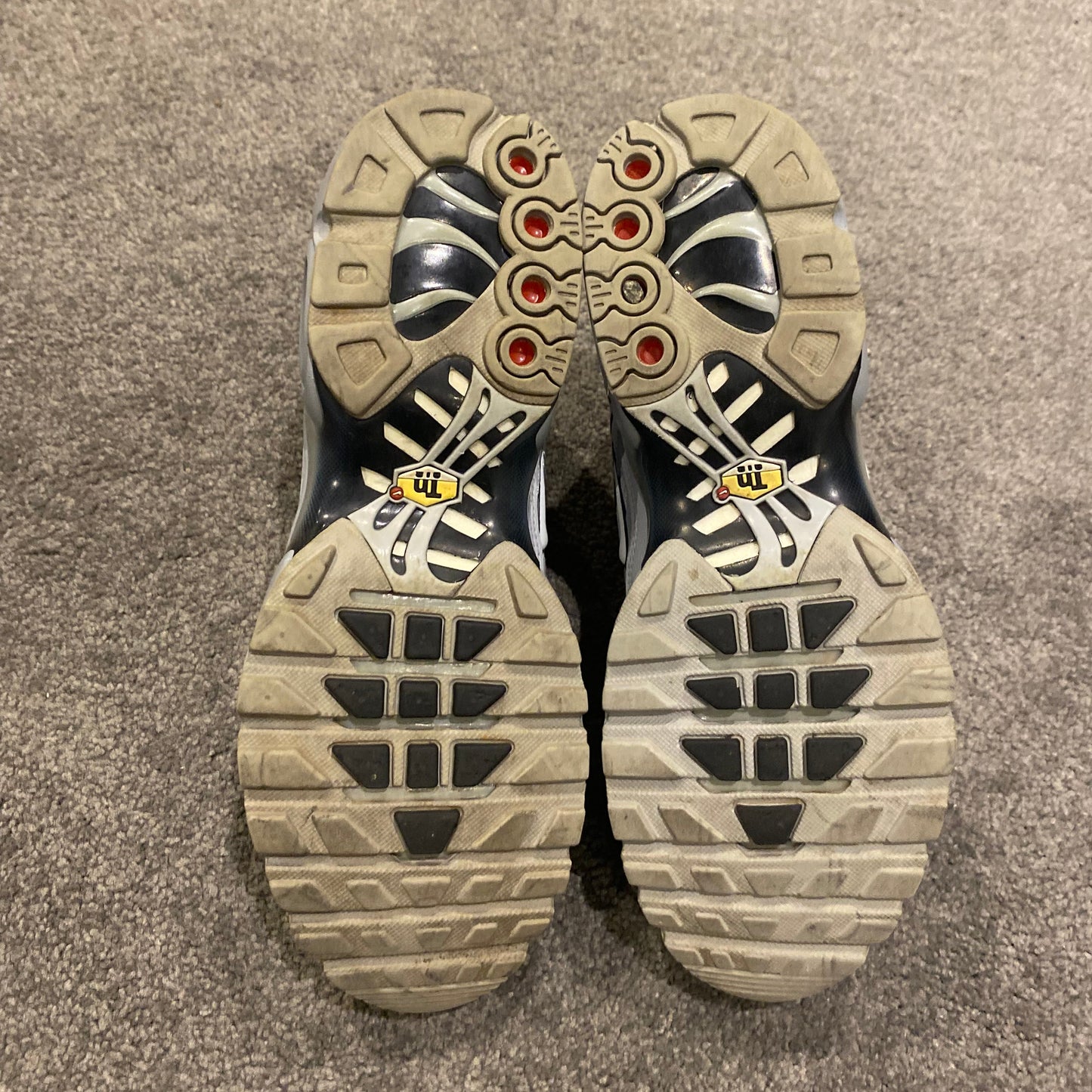 NIKE TN 'WOLF GREYS' (9)