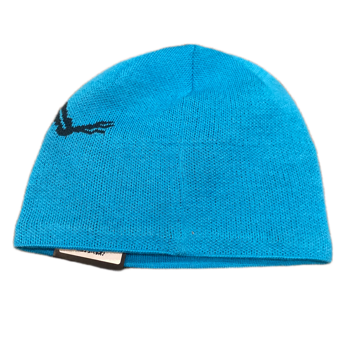ARCTYREX BEANIE (0S)
